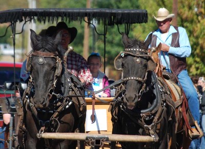 Rodeo Parade and Buffalo Trail BBQ